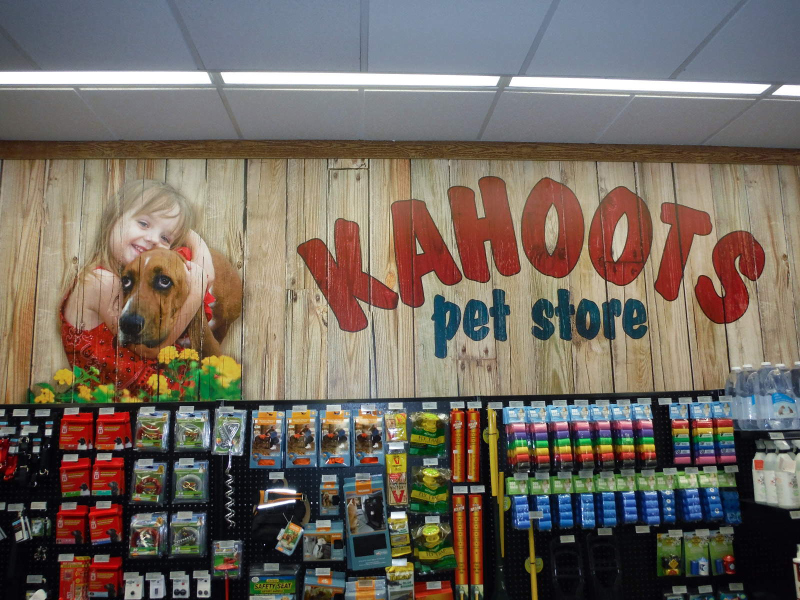 Kahoots Photo - Wall Logo